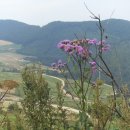 풍차마을 이미지