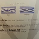 세이네이처