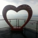 강진 설록다원이랑 전망대까지^^ 이미지