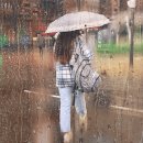 양철지붕 빗소리 / 김순자 이미지