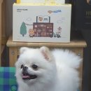 (주)로희