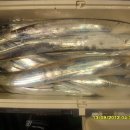 오늘도제주 이미지