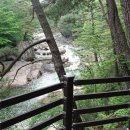 대원사정류장 이미지