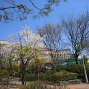 관곡초등학교 이미지