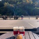 홍제매점 | 홍제폭포 카페 카페폭포 메뉴 주차 주말 방문후기