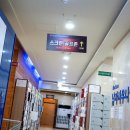 킹덤스포렉스 이미지