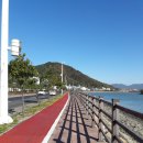 도개버스정류장화장실 | 11. 고성-부산(맛집 투어)-자전거캠핑 전국일주 후기