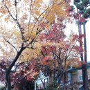 정화수도원 이미지