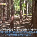 팔영주유소 이미지