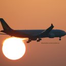 Asiana Airlines(A330) HL7795, Korean Air(A321NEO) HL8590 - 2025.3.10 이미지