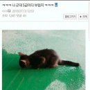 나 신검 5급으로 면제다~ 부럽지 이미지