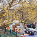 월계(회관)마을회관 이미지