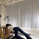 필라테스 귤 | 진주 초전동 필라테스 옳필라테스 그룹수업 잘하는 곳 추천
