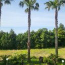 제주 행복스케치 펜션 이미지