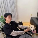 주우재, 반려견과 여유로운 일상…예능 대세의 집콕 근황 이미지