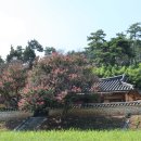 백일헌영당 티스토리