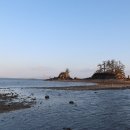 쥐똥섬펜션 이미지