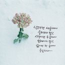 다나은세상 이미지