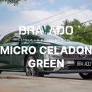 벤츠에 시공한 - 브라바도 랩핑 마이크로 셀러돈 그린(Micro Celadon Green) 컬러 후기