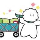 학교안 풍경 캠핑장 이미지