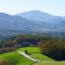 영현목장 이미지