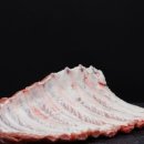 감성등갈비 이미지