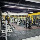 아인스 휘트니스 이미지