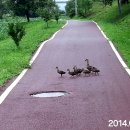 충청남도 공주시 장애인종합복지관 | 공주 정안천생태공원을 자랑함
