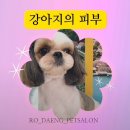 로댕 펫 살롱 이미지