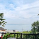 여울애견 이미지