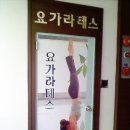 요가라테스 네이버블로그
