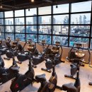 뉴핏휘트니스 | 뉴핏휘트니스 뉴코아울산점 시설 이용 안내｜지도로 한눈에 보기