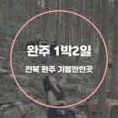 완주 송광사 관광안내소 | 전북 완주 여행 코스 가볼만한곳 :: 상관 편백나무숲 송광사 삼례문화예술촌 포함