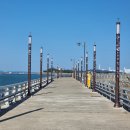 평화어시장횟집 | 충남 서산의 보물 서산 9경 삼길포항! 바다 풍경과 선상어시장