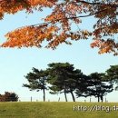 민트컨설팅