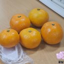 사진 갯수때문에 쓰기도 전에 두려운 23년 12월 일상