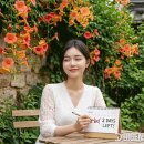 능소화 연정 / 이기택 이미지