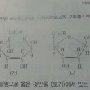 화학 포도당 디옥시리보스 구조그림에서 c수좀봐줄첟사 이미지