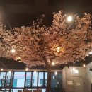 옥상ENG 이미지