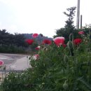 알뜰랜드 이미지