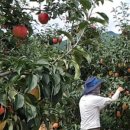 양도농장 이미지