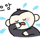 웅비투어 이미지