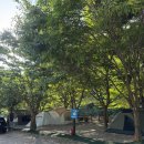 녹색오토캠핑장 | 내돈내산 캠린이의 대구 경북 근교 계곡 캠핑장 - 문경 녹색 오토 캠핑장 후기