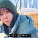최강희 카카오 검색결과