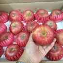 진공농장 이미지