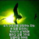 오직 여호와를 앙망하는 자는 이미지
