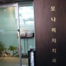 모나리자치과 Daum카페