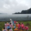 송수초등학교병설유치원 이미지
