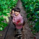 봄이네농장 이미지