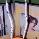 🕊 ASCEND 🕊 이미지